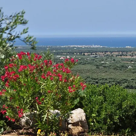 Farm stay Masseria Spetterrata *